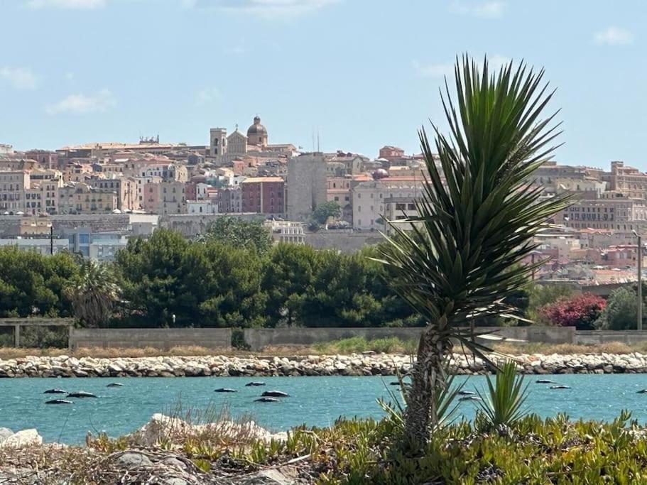 קליארי Un Passo Dal Mare E Dalla Citta. מראה חיצוני תמונה